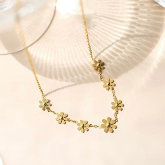 collier Ava